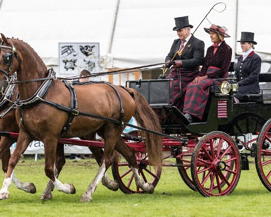 Perth-Show-2017-Carriage-Driving-19