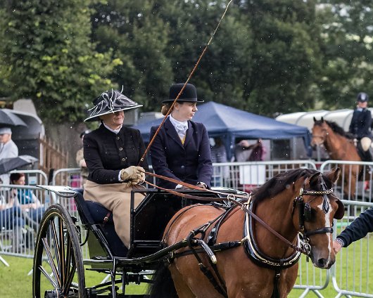 Perth-Show-2017-Carriage-Driving-3