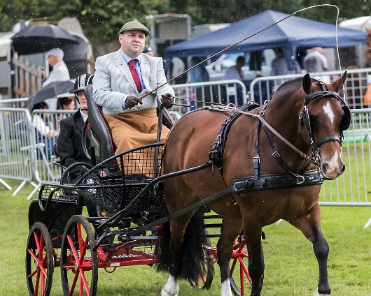 Perth-Show-2017-Carriage-Driving-4