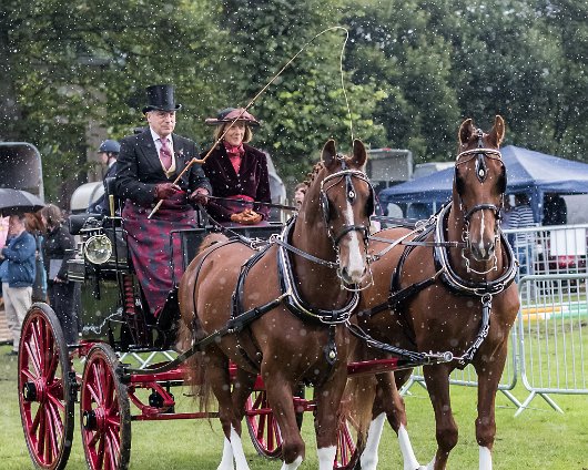 Perth-Show-2017-Carriage-Driving-5