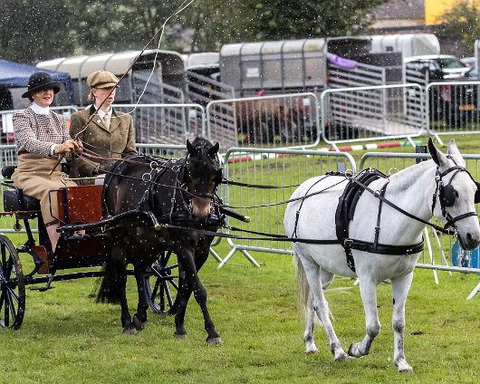Perth-Show-2017-Carriage-Driving-7