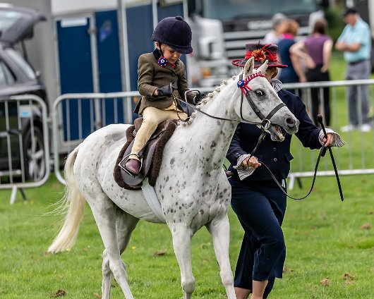 Perth-Show-2019-Friday-5