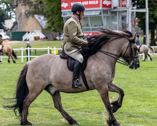 Scottish-Horse-Show-2018-11