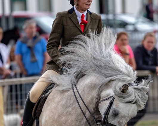 Scottish-Horse-Show-2018-15