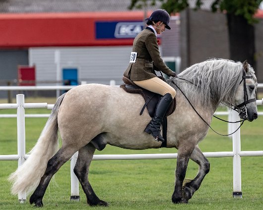 Scottish-Horse-Show-2018-17