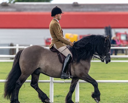 Scottish-Horse-Show-2018-20