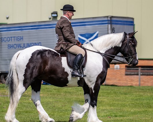 Scottish-Horse-Show-2019-5