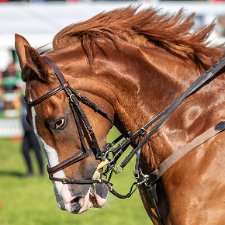 2018 Blair Atholl 2018-Each August sees four days of top class equestrian eventing. The Blair Castle International Horse Trials and...