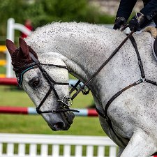 Hopetoun Horse Trials 2021