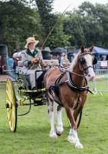 2017 Perth Show 2017-The Perth Agricultural Show takes place in Perth and includes many different types of events and exhibitions.