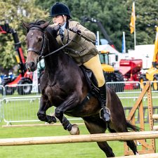 Perth Show 2019 2019-The Perth Agricultural Show takes place in Perth and includes many different types of events and exhibitions.