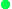 Dot Green