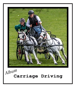 Carriage Driving