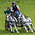Photographs of Racing Yards in Scotland.