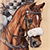 Equine Artist Emily Johnson who uses my images.