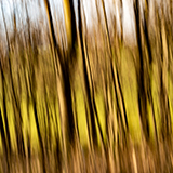ICM-Intentional Camera Movement.