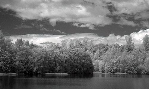 Photographs of a variety of subjects and techniques.
