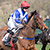 Point To Point Racing Photographs.