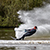 Photographs of Waterskiing at Townhill Loch..