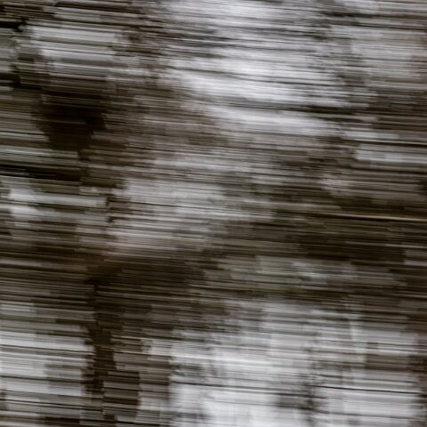 ICM-Horizontal-Trees-7