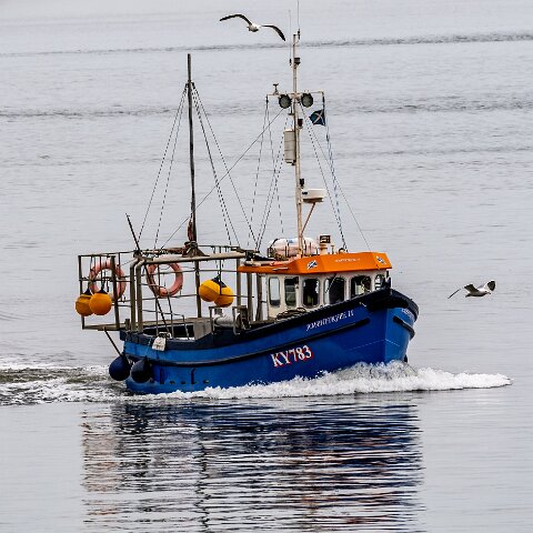 Fishing-Boat-Amphitrite-II-3