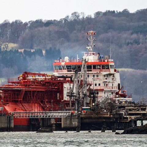 Coral-Fraseri-Braefoot-2022-02-12-1