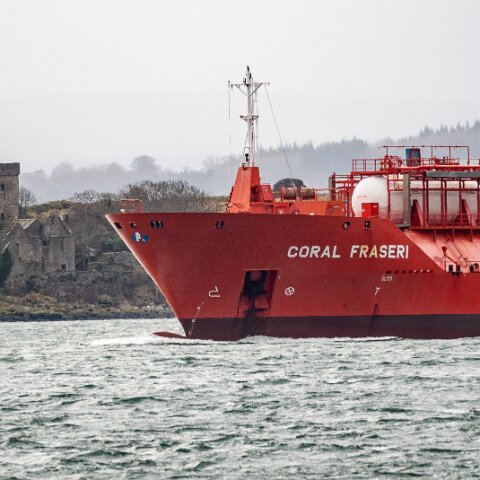 Coral-Fraseri-Braefoot-2022-02-12-12