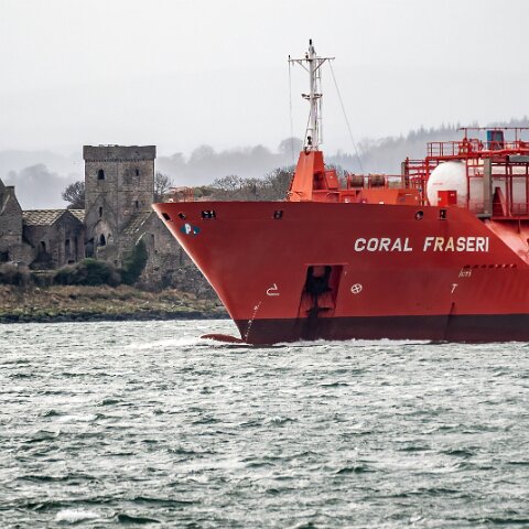 Coral-Fraseri-Braefoot-2022-02-12-13