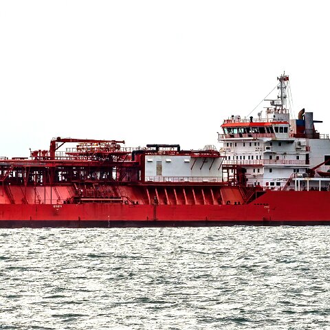 Coral-Fraseri-Braefoot-2022-02-12-19