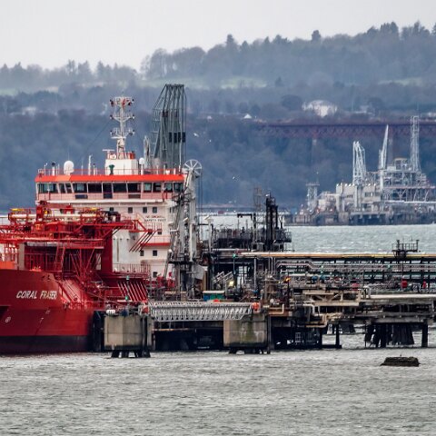 Coral-Fraseri-Braefoot-2022-02-12-5