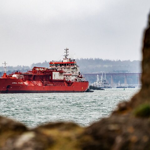 Coral-Fraseri-Braefoot-2022-02-12-7