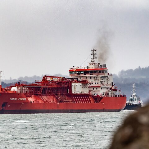 Coral-Fraseri-Braefoot-2022-02-12-8