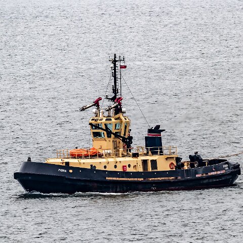 Fidra-Braefoot-2021-05-13-15-26-27