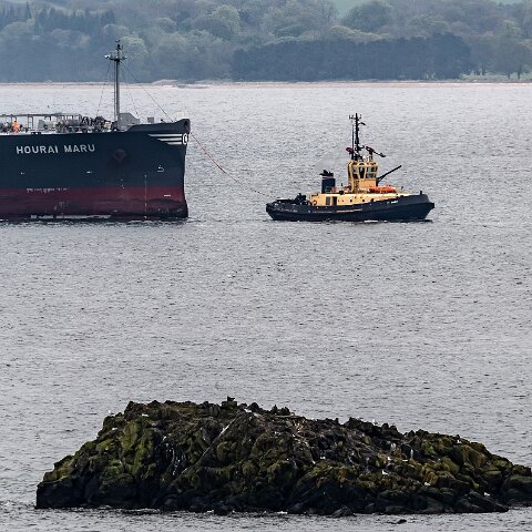 Hourai-Maru-Braefoot-2021-05-13-15-17-44