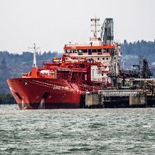 Coral Fraseri Departing Braefoot