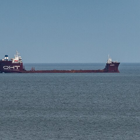 Hawk-Nevskaya-2021-06-15