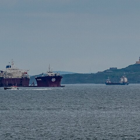 Hawk-Nevskaya-2021-06-23