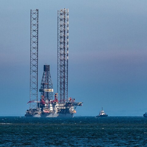 Hawk-Nevskaya-2021-06-29-5