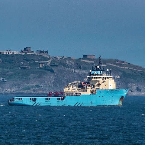 Hawk-Nevskaya-2021-06-29-9