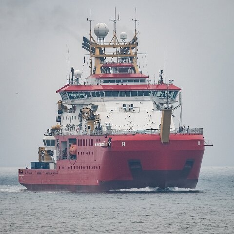 Sir-David-Attenborough-1