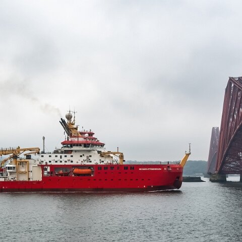 Sir-David-Attenborough-10