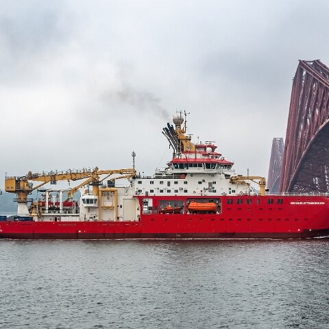 Sir-David-Attenborough-11