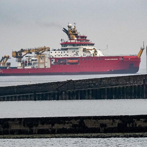 Sir-David-Attenborough-18