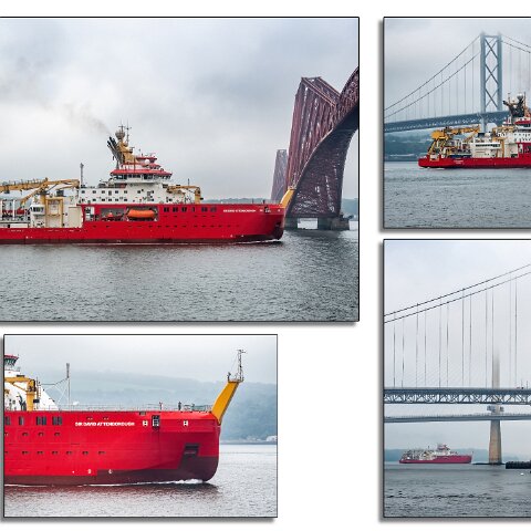 Sir-David-Attenborough-19