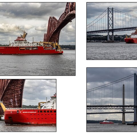 Sir-David-Attenborough-19a