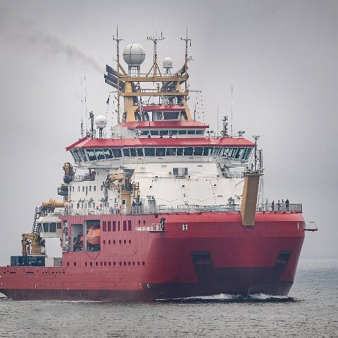 Sir-David-Attenborough-2