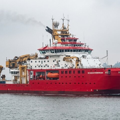 Sir-David-Attenborough-6