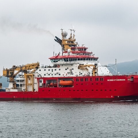 Sir-David-Attenborough-7