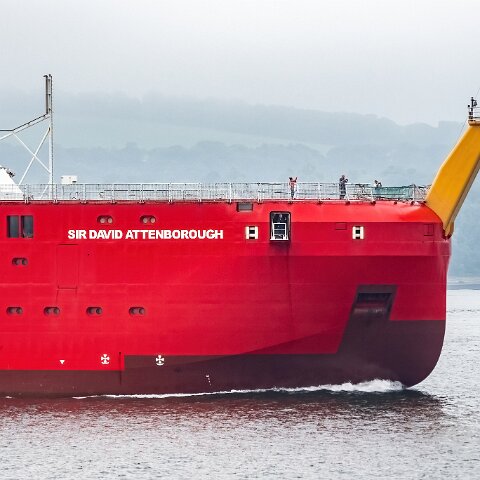 Sir-David-Attenborough-8