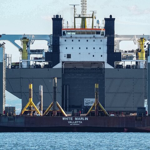 White-Marlin-and-Valaris Gorilla VII-2021-10-04-10